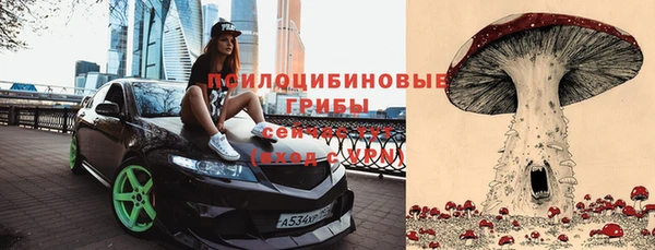 спиды Вязьма