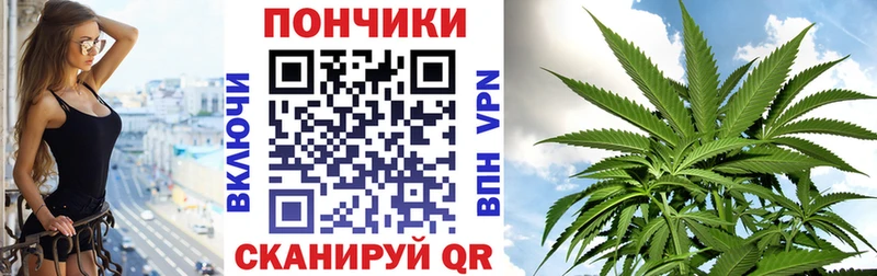 MEGA как войти  Данилов  Шишки марихуана VHQ 